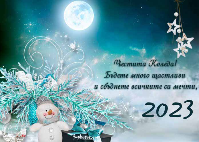 Весела Коледа и Щастлива Нова година!