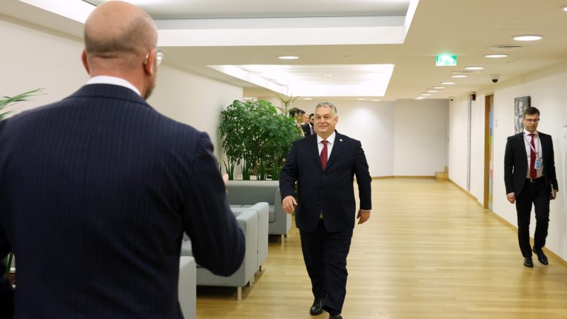 ЕС трябва да покаже на Орбан, че „не пасе котки“