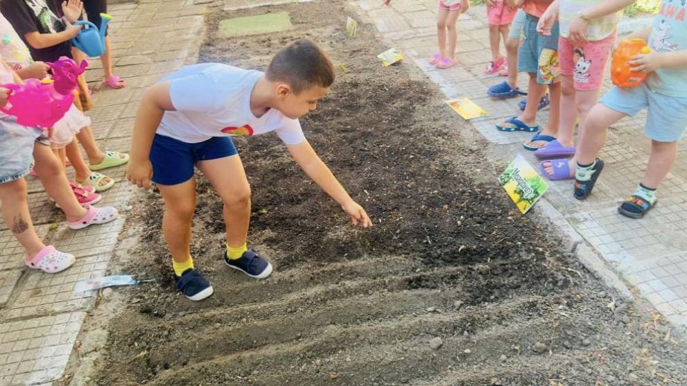 Добрият пример: Деца сами отглеждат зеленчуци и подправки в детски градини в Димитровград
